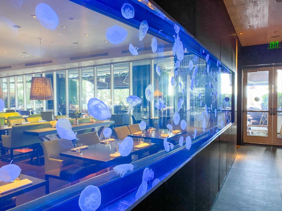 W Residences Fort Lauderdale Luxury Suites Across From Fort Lauderdale Beach Εξωτερικό φωτογραφία